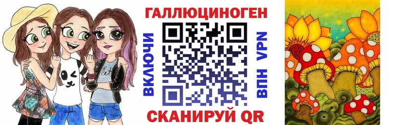 купить закладку  Щёлково  Псилоцибиновые грибы мицелий 